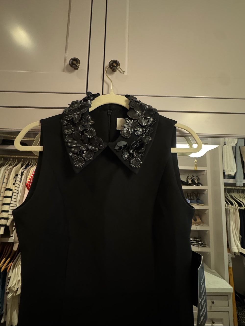 Tuckernuck Black Sleeveless Dress with Embellished Floral Collar - Picture 2 of 3